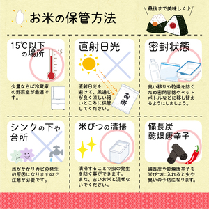 ＜2025年10月下旬開始＞【令和7年産 定期便】 はえぬき計15kg！お米 定期便（5kg×3回）！清流寒河江川育ち 山形産はえぬき 2025年産　029-C-JA021-2025-10下