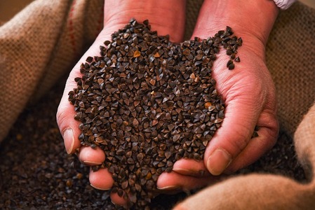 製麺所こだわり 山形の田舎そば「小沢部そば(乾麺)」 8束（16人前） 大沼製麺所 【 お取り寄せ 備蓄 小分け 個包装 常温 保存 便利 ご当地 グルメ 土産 特産 名物 蕎麦 東北 山形県 ざるそば もりそば かけそば 】　005-F-ON008