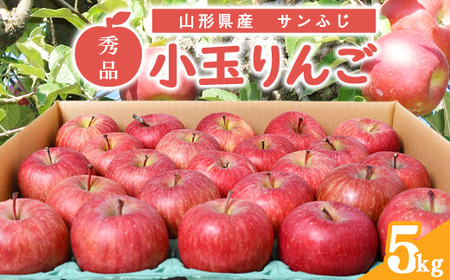 秀品 小玉りんご「サンふじ」 5kg （20 - 25玉入）【2026年1月上旬頃～下旬頃発送予定】　012-B-MM085
