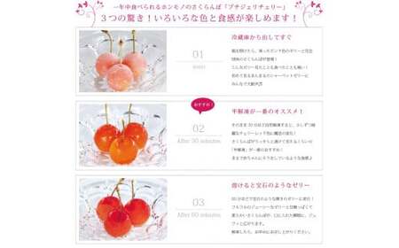 さくらんぼの宝石!プチジェリチェリー 8個入×2箱セット　012-G-SF002