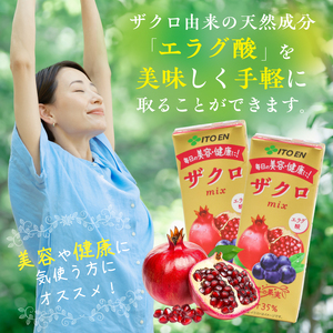 伊藤園 ザクロmix 紙パック 200ml 24本 013-G-IT009