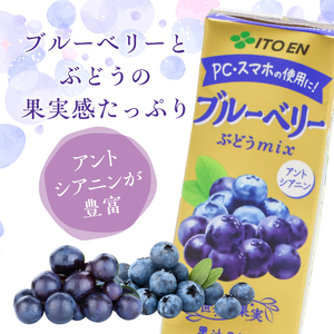 伊藤園 ブルーベリーぶどうmix 紙パック 200ml 24本 013-G-IT010