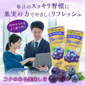 伊藤園 ブルーベリーぶどうmix 紙パック 200ml 24本 013-G-IT010