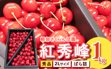 【先行予約】 山形県産 さくらんぼ 紅秀峰 2L 秀品 1kg (ばら詰 ) 令和8年産【2026年6月中旬頃~7月上旬頃発送予定】※配送不可 沖縄・離島 034-A-KB003