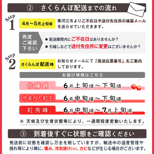 【先行予約】  山形県産 さくらんぼ 紅秀峰 2L 秀品 1kg （ばらパック詰 ) 500g×2パック 令和8年産【2026年6月中旬頃～7月上旬頃発送予定】※配送不可 沖縄・離島　040-A-KB004