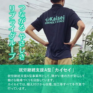 国産の唐辛子で作った 一味唐辛子 「さがえ唐辛子 旨辛」 15g × 1本　0025-G-BK027 ／ 唐辛子 スパイス 香辛料 調味料 国産 自社農園 福祉 支援 お取り寄せ 山形産 山形県産 山形県 寒河江市