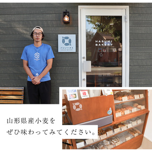 山形県産小麦 10種 パン 詰め合わせ ( メロンパン クロワッサン リンゴパイ ふすまバターロール カンパーニュ 甘酒バタール いちじくとくるみ ３種のフルーツ バゲット チーズカンパーニュ )　008-G-PH001