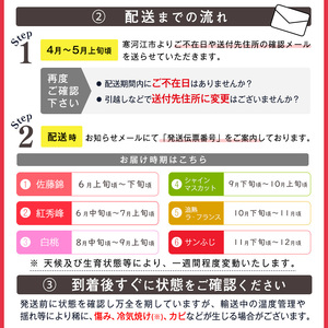《先行予約》【6回定期便】 特秀品 フルーツ 定期便 「雅」 さくらんぼ もも シャインマスカット 洋 梨 りんご 【2026年6月上旬頃から発送開始予定】※配送不可 沖縄・離島　452-B-MM055