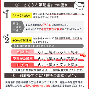 【先行予約】 令和8年産 さくらんぼ やまがた紅王 2Lサイズ以上 秀品 500g （500g×1パック） 2026年産 山形県産【2026年6月中旬頃～6月下旬頃発送予定】※配送不可 沖縄・離島　025-A-RF004