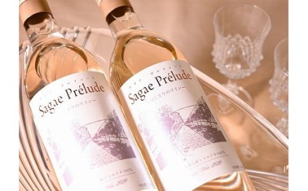 【限定生産】さがえの地ワイン 「Sagae Prelude( サガエ プレリュード )」シャルドネ白 辛口 720ml×2本【ぶどう農家支援】 012-E05