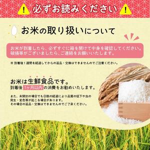 【特別栽培米】 雪若丸 5kg ／ 2024年産 令和6年産 山形県産 山形産 白米 精米 小分け 便利 弁当 ブランド米 ごはん ご飯 東北 国産 5キロ 山形県寒河江市　011-C-JA041