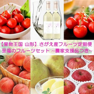 【果物王国 山形】さがえ産フルーツ5回定期便~至福のフルーツセット ~ <農家支援品ワインつき> 糖度保証付き入り 2021年産 先行予約 100-B07