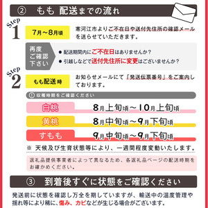 山形の白桃 《硬い桃》 5kg 品種おまかせ (13～20玉) 秀品 山形県産 2024年産 【2024年8月中旬頃～9月下旬頃発送予定】　022-B-MM016