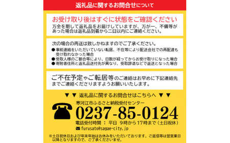 【年内発送】りんご「サンふじ」秀品 3kg（8玉～9玉）【2024年11月下旬頃～12月下旬頃発送予定】／ 2024年産 令和6年産 山形産 お取り寄せ ご当地 特産 果物 フルーツ くだもの 東北 リンゴ 林檎 apple 季節 秋 冬 食後 デザート おやつ 東北 山形県産　012-B-CS005