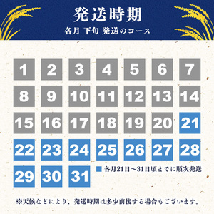 <2026年12月下旬開始>【令和8年産 3回定期便】 はえぬき計15kg!お米 定期便(5kg×3回)!清流寒河江川育ち 山形産はえぬき 2026年産 044-C-JA021-202612下
