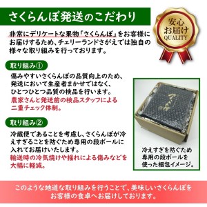 さくらんぼ 「佐藤錦」Lサイズ以上 秀品 1kg（500g×2） バラ詰め 山形県産 【2024年6月中旬頃～下旬頃発送予定】／ お取り寄せ フルーツ 果物 果実 ご当地 特産 東北 道の駅 チェリーランド さがえ ドライブ 旅行 土産 2024年産 令和6年産 1キロ　026-A-CS010｜佐藤錦佐藤錦佐藤錦佐藤錦佐藤錦佐藤錦佐藤錦佐藤錦佐藤錦佐藤錦｜