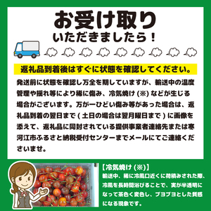 さくらんぼ 「佐藤錦」Lサイズ以上 秀品 1kg（500g×2） バラ詰め 山形県産 【2024年6月中旬頃～下旬頃発送予定】／ お取り寄せ フルーツ 果物 果実 ご当地 特産 東北 道の駅 チェリーランド さがえ ドライブ 旅行 土産 2024年産 令和6年産 1キロ　026-A-CS010｜佐藤錦佐藤錦佐藤錦佐藤錦佐藤錦佐藤錦佐藤錦佐藤錦佐藤錦佐藤錦｜