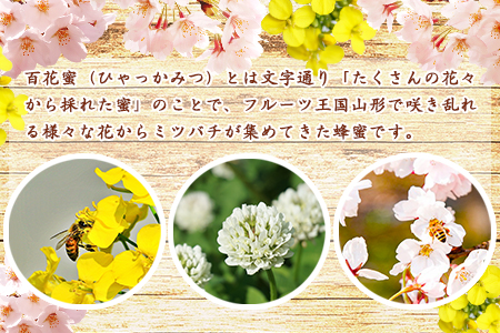 天然熟成 純粋はちみつ（百花蜂蜜） 非加熱 山形県産 合計1kg（500g×2本） 【抗生物質・保存料・添加物なし】　017-G-OT004