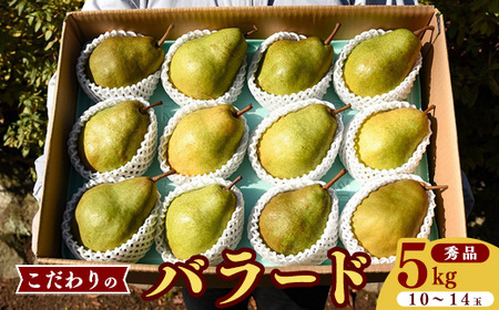 《先行予約》 令和8年産 洋梨 バラード 5kg（10玉 - 14玉）秀品 山形県産【2026年10月上旬頃から中旬頃発送予定】014-B-HK012