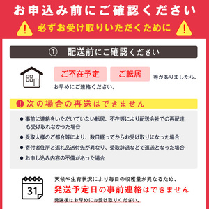 《先行予約》 令和8年産 洋梨 バラード 5kg（10玉 - 14玉）秀品 山形県産【2026年10月上旬頃から中旬頃発送予定】014-B-HK012
