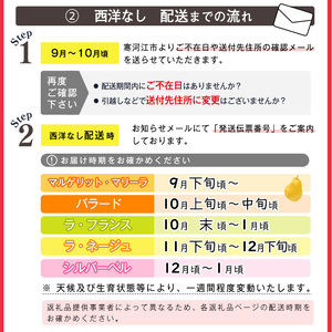 《先行予約》 令和8年産 洋梨 バラード 5kg（10玉 - 14玉）秀品 山形県産【2026年10月上旬頃から中旬頃発送予定】014-B-HK012