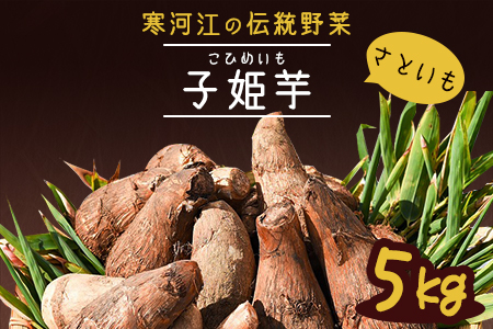 寒河江伝統の里芋 “子姫いも” 土付き5kg 015-B13
