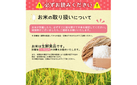 未開封 国産精米 5kg×3袋