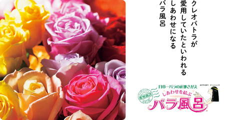 ご自宅用 バラ風呂セット（48輪）山形県産 ／ 薔薇 お取り寄せ 特産 名物 産地直送 ばら ギフト プレゼント フラワー ローズ 花 祝 贈答 記念 植物 癒し 香り 豪華 女子力 彼女 妻 母 女性 友達 コスプレ バス リラックス 撮影 国産 東北 山形　021-K-JS002