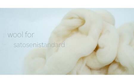 【ホワイト】《ウール100％》ニットキャップ （ユニセックス・男女兼用）　020-H-SS013-WH