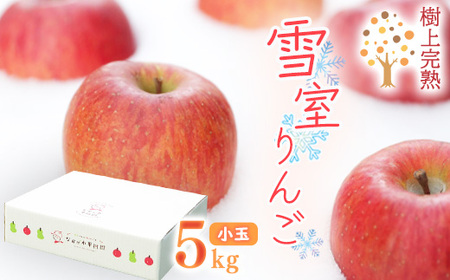 雪室りんご 5kg「樹上完熟 ふじりんご」 小玉サイズ 山形産 【2026年1月中旬頃～3月頃 発送予定】 2025年産 令和7年産 山形県　020-B-NG002