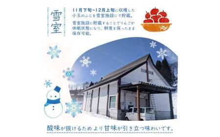 雪室りんご 5kg「樹上完熟 ふじりんご」 小玉サイズ 山形産 【2026年1月中旬頃～3月頃 発送予定】 2025年産 令和7年産 山形県　020-B-NG002