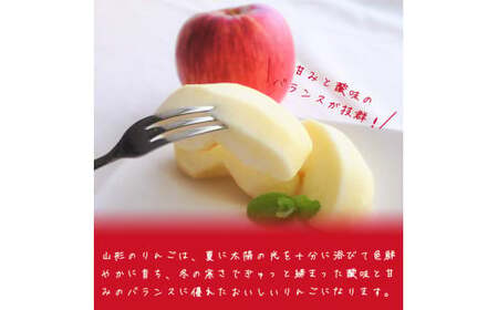 雪室りんご 5kg「樹上完熟 ふじりんご」 小玉サイズ 山形産 【2026年1月中旬頃～3月頃 発送予定】 2025年産 令和7年産 山形県　020-B-NG002