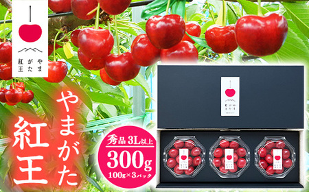 【先行予約】さくらんぼ 「やまがた紅王」3Lサイズ以上 秀品 300g（100g×3）化粧箱 ダイヤパック 2026年産 令和8年産 山形県産 【2026年6月中旬頃～下旬頃発送予定】 ※配送不可 沖縄・離島 024-A-SW002