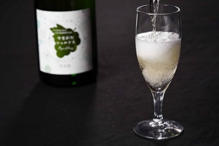 《山形県産ぶどう100%》やまがた シャルドネ スパークリング ワイン 白(750ml×2本) 020-E-CK017