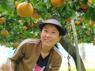 【樹上完熟】和梨「豊水」　３ｋｇ　４～９玉（直送便）　0148-2609