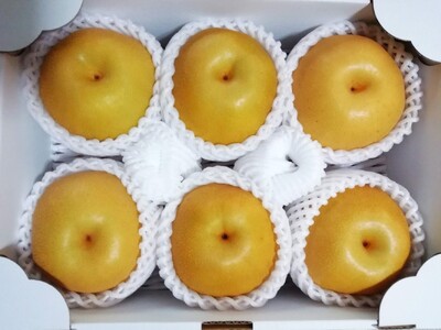 【樹上完熟】和梨「豊水」　３ｋｇ　４～９玉（直送便）　0148-2609