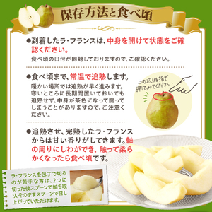 西洋梨（ラ・フランス）３ｋｇ　大玉　特秀品　贈答用　0055-2516