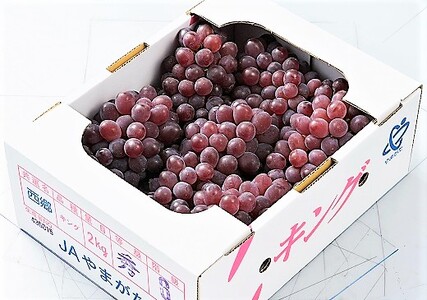 ぶどう（キングデラ）２ｋｇ　0060-2606
