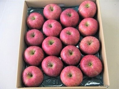 りんご（サンふじ）５ｋｇ　１３～１８玉　0056-2426