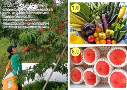 【定期便：全４回】フルーツと無農薬野菜の定期便　0148-2602