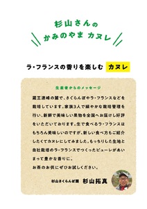 山形県上山市ラ・フランスをたっぷり練りこんだ果樹園のカヌレ　３個×４箱　0044-2313