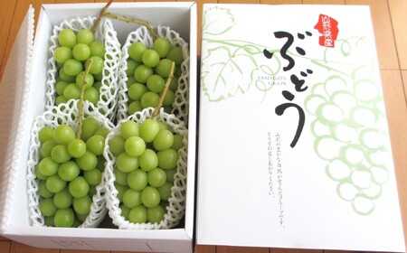 ぶどう（シャインマスカット）１.５ｋｇ　ご家庭用　0085-2602