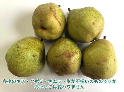 西洋梨（ラ・フランス）３ｋｇ　ご家庭用　0102-2503