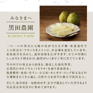 西洋梨（ラ・フランス）３ｋｇ　ご家庭用　0102-2503