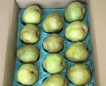 西洋梨（ラ・フランス）３ｋｇ　ご家庭用　0102-2503