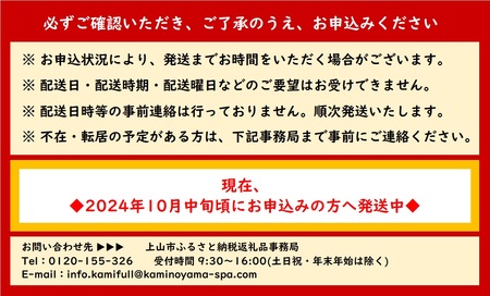 かみのやまシュー　１０個　0048-2406