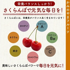 さくらんぼ（品種おまかせ）７００ｇ（３５０ｇ×２パック）フードパック入り　0020-2605
