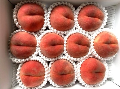 白桃（品種おまかせ）３ｋｇ　0020-2612