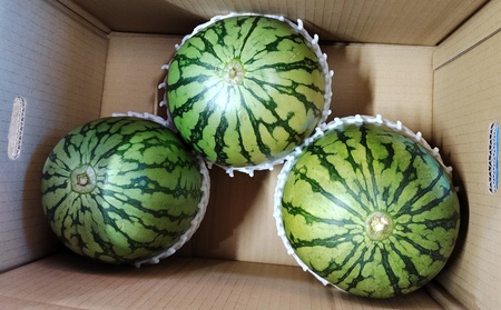 小玉すいか（ピノガール）３～６個　0030-2609
