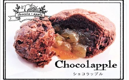 0048-2008 かみのやまショコラップル 8個箱入